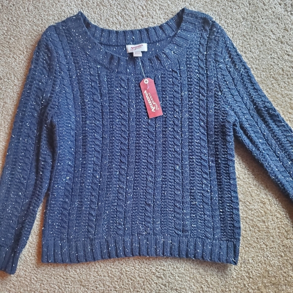 Arizona Jean Company Sweaters - Blue Sweater